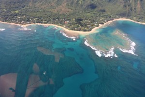 view from helicopter  